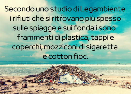 tipi di rifiuti spiaggia.png